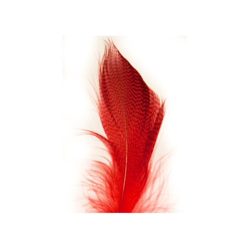 Mallard Barred Flank - Red Wapsi - Stokkand
