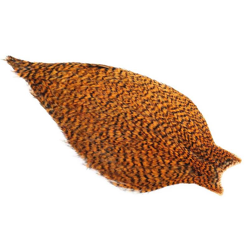 Whiting American Rooster Cape Shrimp Orange