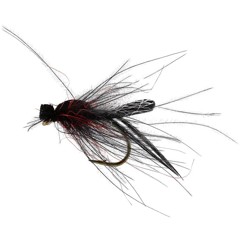 Bibio Pomonae Black #12 TMC2487