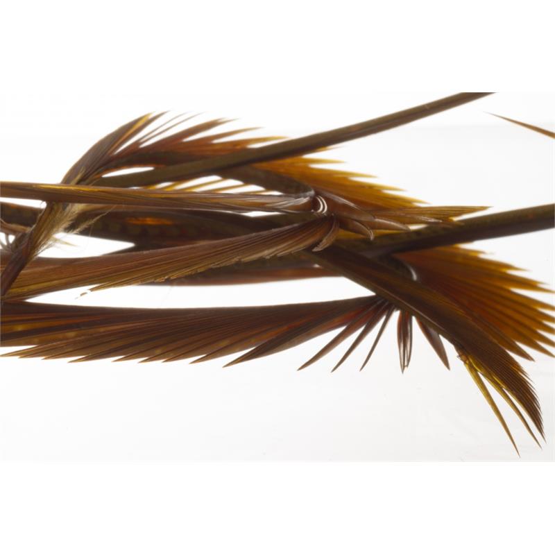 Semperfli Natural Range Goose Biots Cinnamon