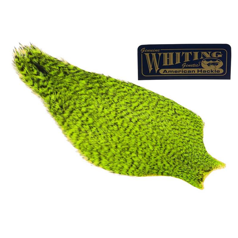 Whiting American Hen Cape Grizzly Chartreuse