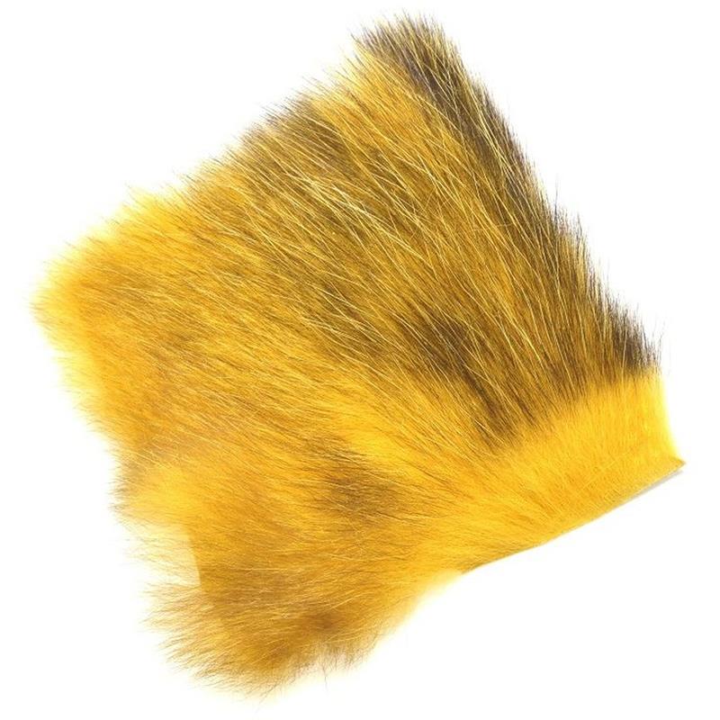 American Opossum Honey Gold C FutureFly