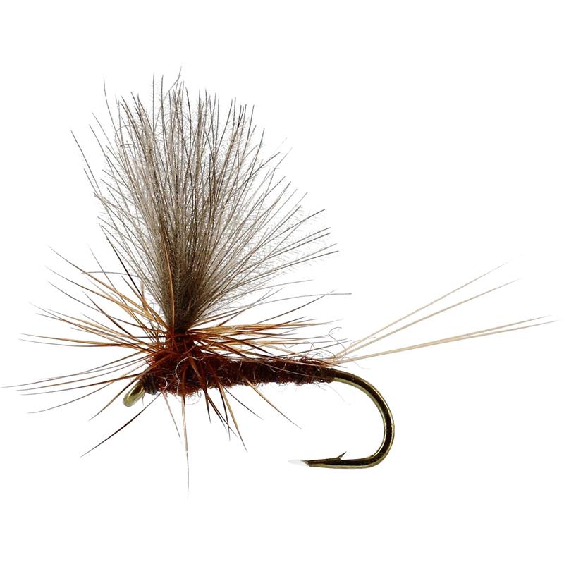 Vespertina Dun Brown #16 TMC100