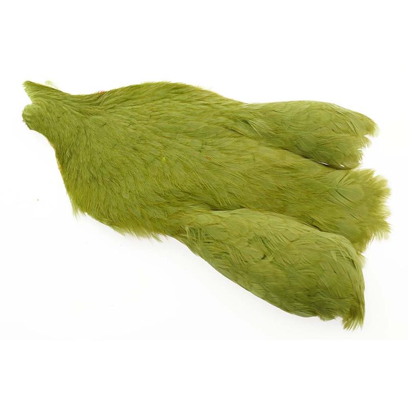 Whiting Hen Cape Olive