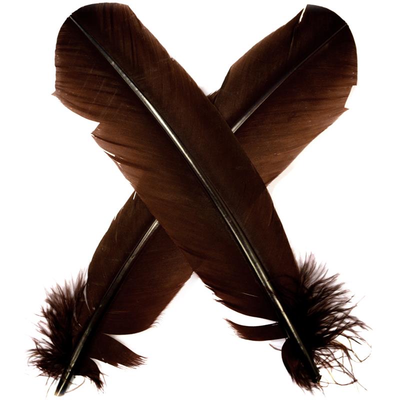 Turkey broad Wing Quill Dyed - Brown Supert vingemateriale til laksefluer