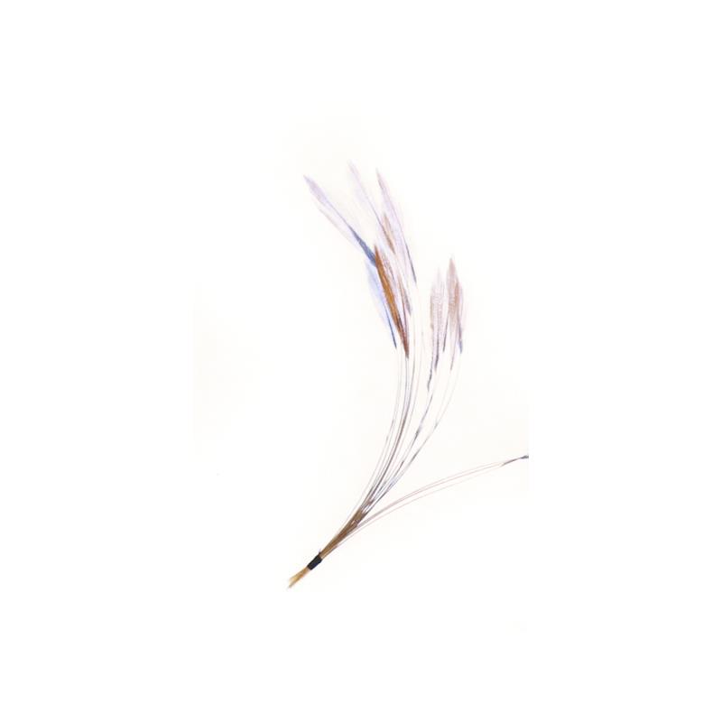 Stripped Hackle Quills - Natural Brown Veniard