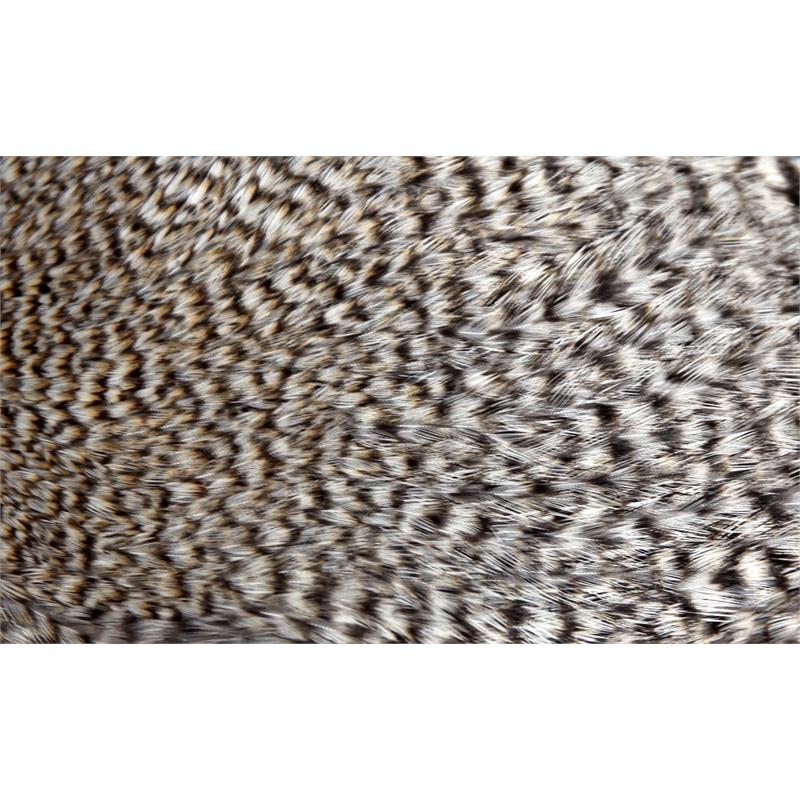 FF Signature Rooster Cape Grizzly Natur