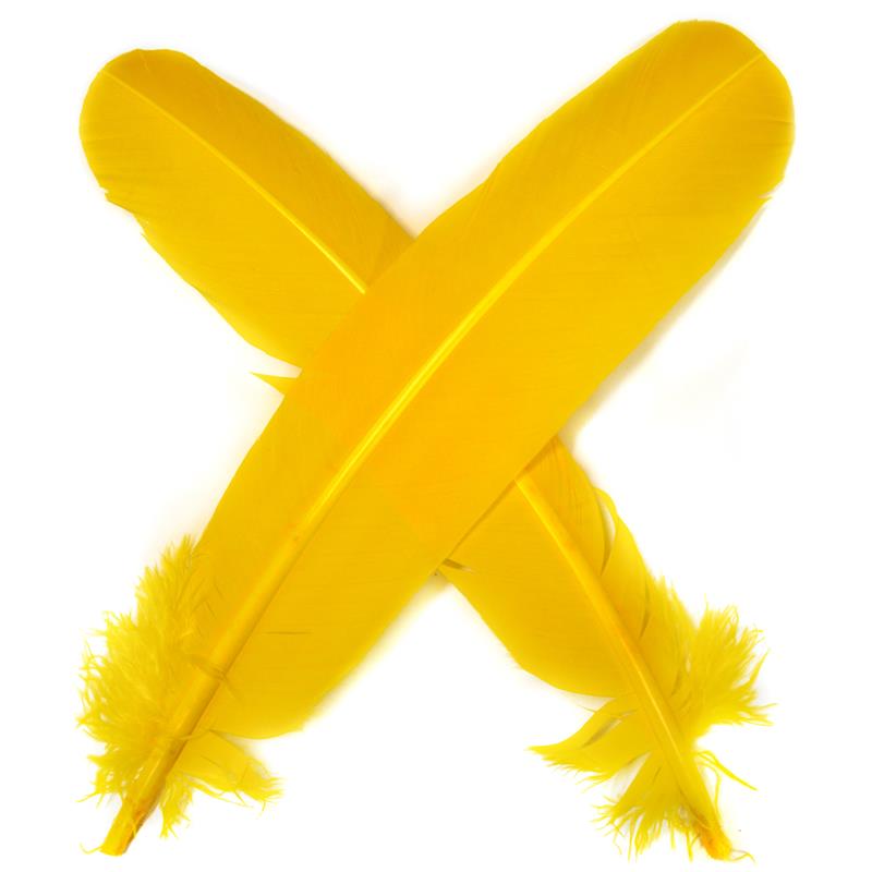 Turkey broad Wing Quill Dyed - Yellow Supert vingemateriale til laksefluer