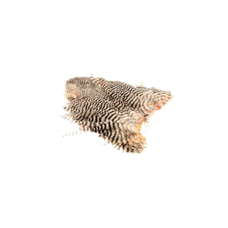 Whiting 4B Hen Soft Hackle/Chicabou Grizzly Salmon Pink