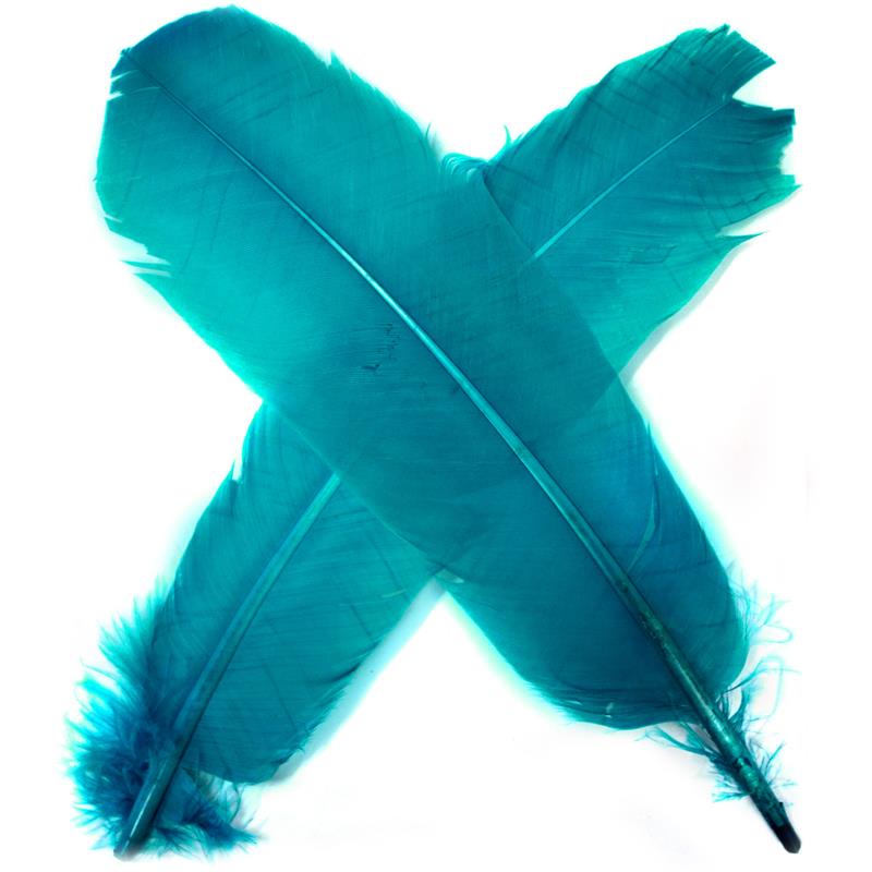 Turkey broad Wing Quill Dyed - Blue Supert vingemateriale til laksefluer