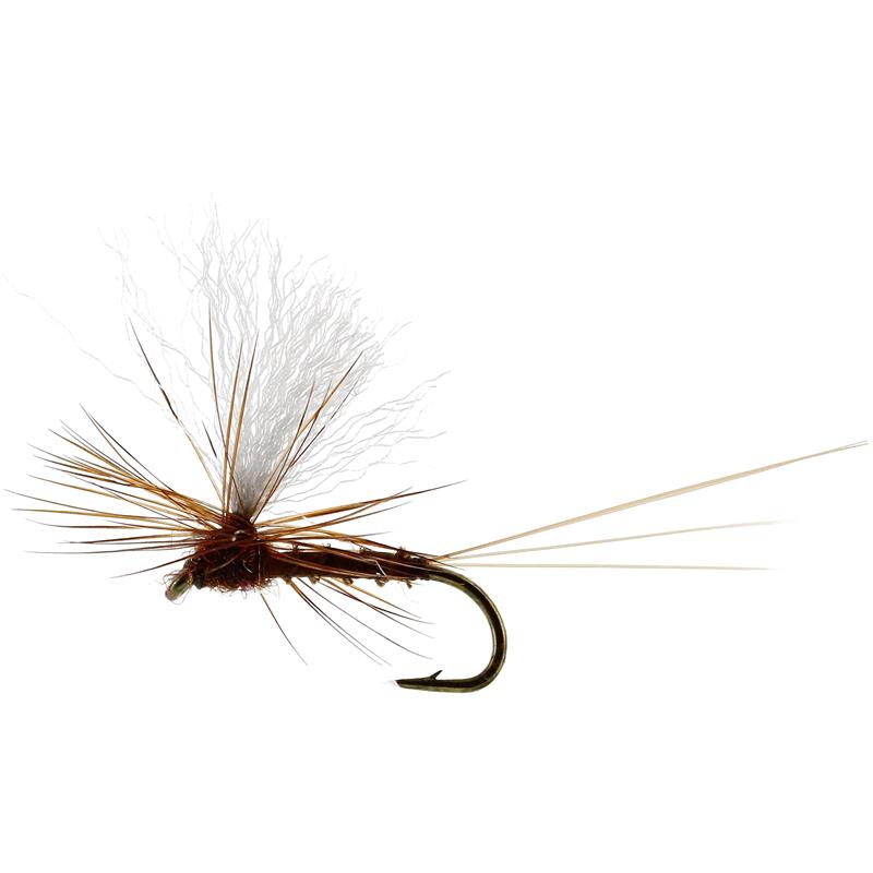 Vespertina Dun Biot Brown #18 TMC100