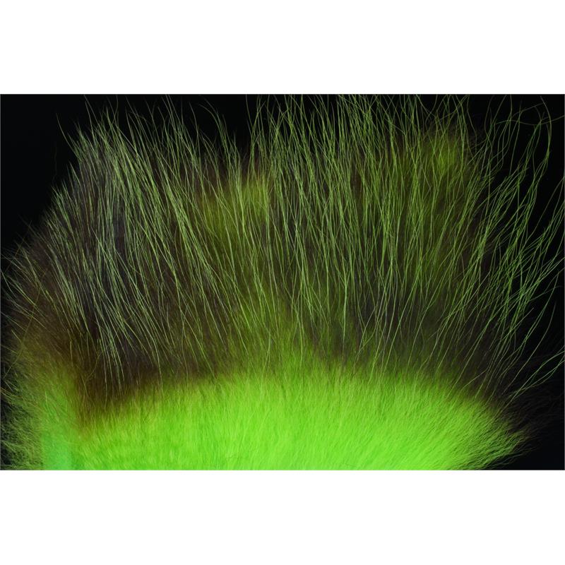 American Opossum Chartreuse FutureFly