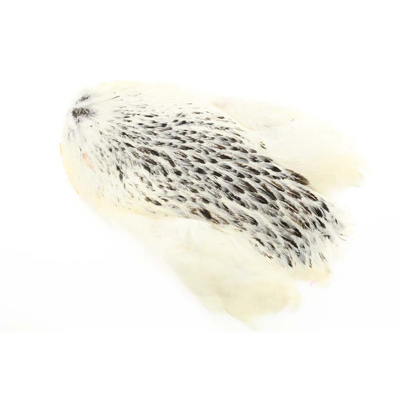 Whiting Hen Cape Variant