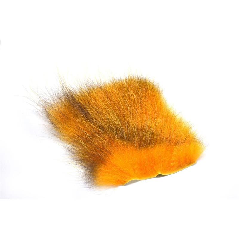 American Opossum Golden Carrot FutureFly