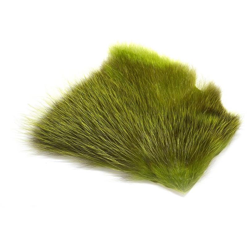 American Opossum BG Green FutureFly