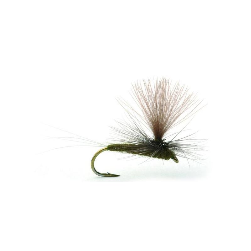 Baetis Dark Olive #14 Kjøp 12 fluer få gratis flueboks