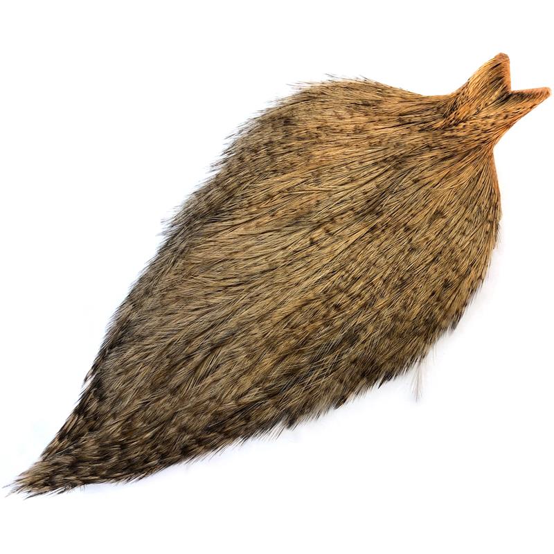 Whiting Coq De Leon Rooster Cape Badger/Salmon