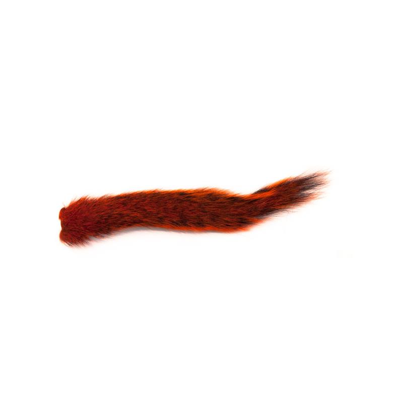 Squirrel Tail - Orange Wapsi
