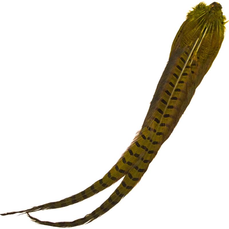 Cock Pheasant Complete Tails Dyed Olive Fasan halefjær komplett fra Veniard