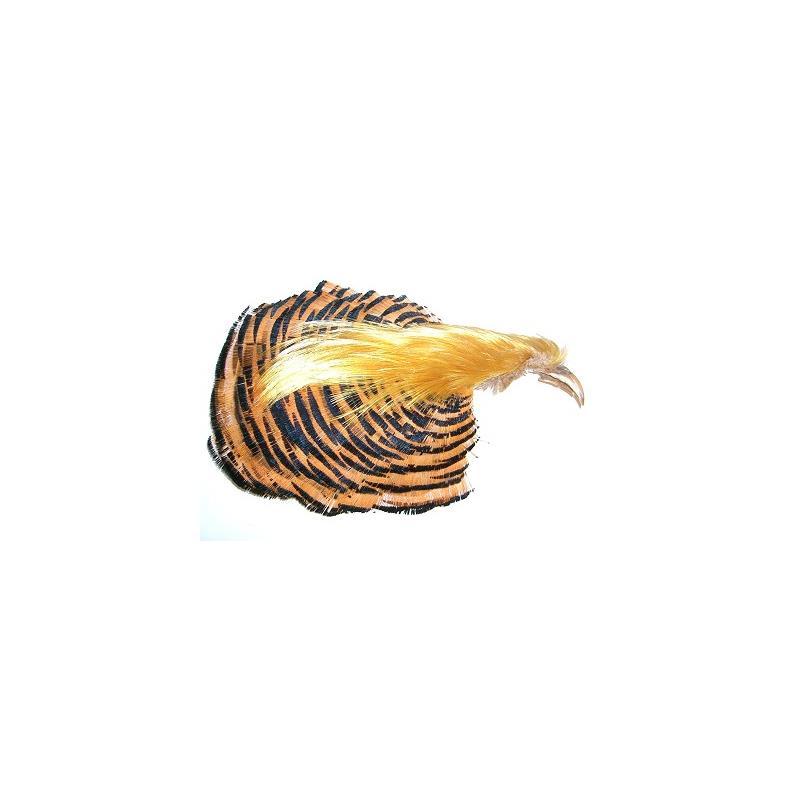 Golden Pheasant Complete Head Helt fasanhode