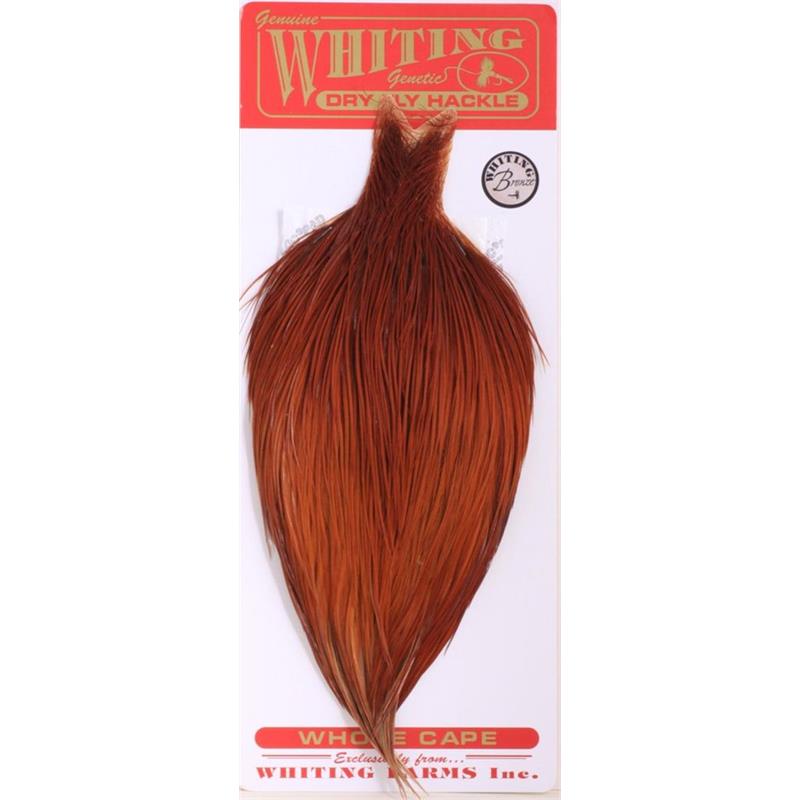 Whiting Dry Fly Cape - Brown Bronsegradering