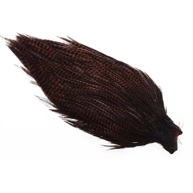 Ewing #1 Grizzly Cape Co. Brown