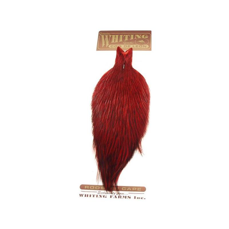 Whiting Coq De Leon Rooster Cape Badger/Red