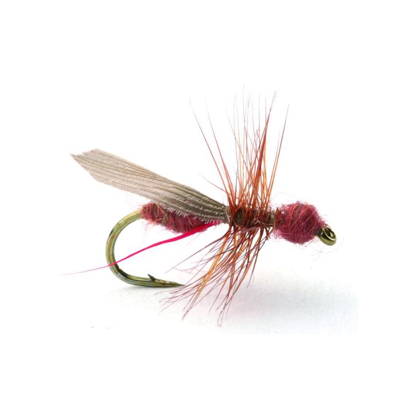 Flying Ant Cinnamon #16 Kjøp 12 fluer få gratis flueboks