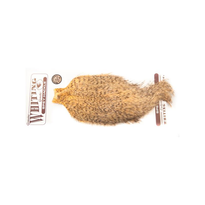 Whiting Spey Hackle - Grizzly Salmon Bronsegradering