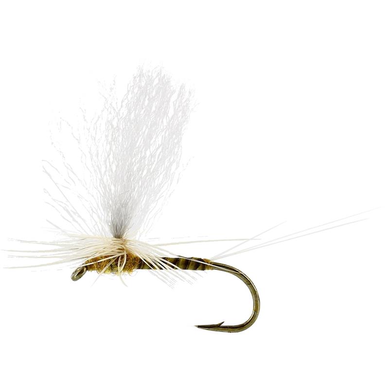 Sulphurea Dun Quill Yellow #14 TMC100