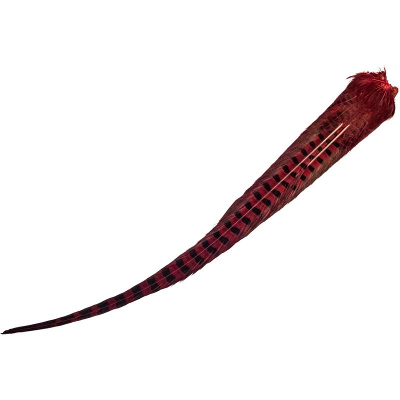 Cock Pheasant Complete Tails Dyed Red Fasan halefjær komplett fra Veniard