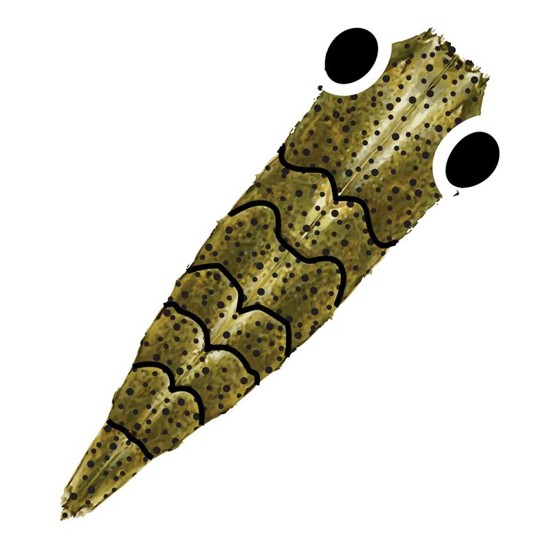 Pro Shrimp Shell G2 Brown/Olive L 9 stk