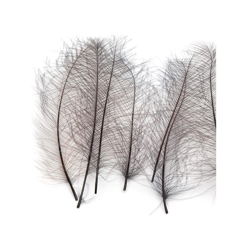 Marc Petitjean CDC 1g - Bistre