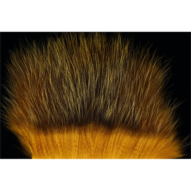 American Opossum Honey Gold FutureFly