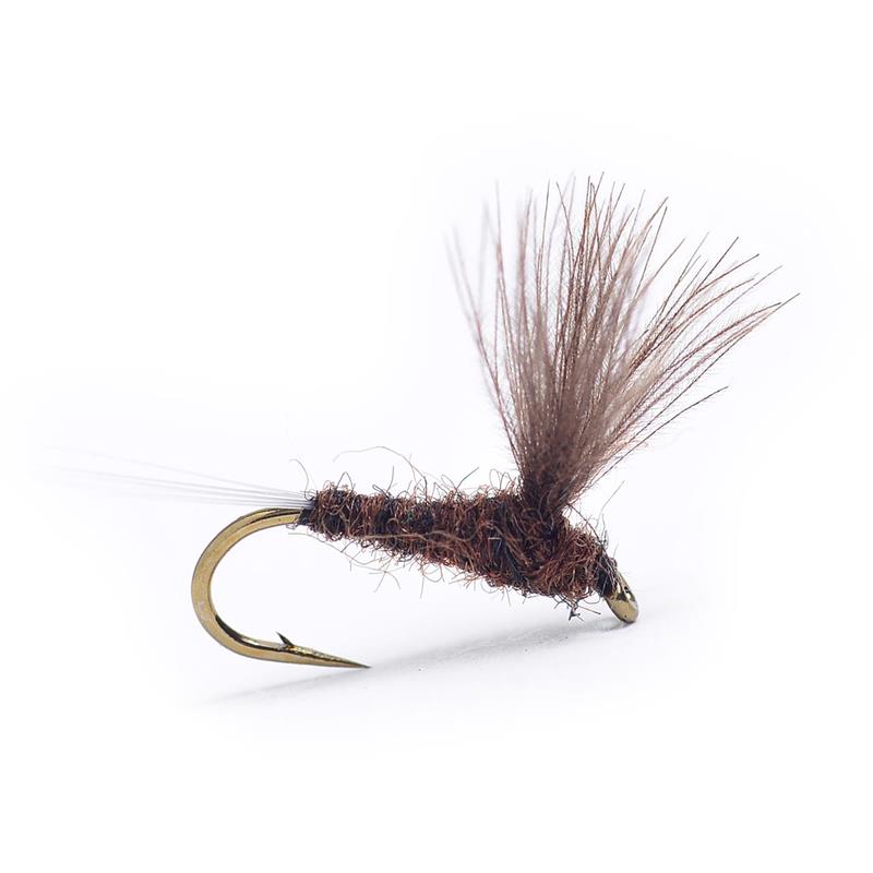 CdC Biot Comparadun Dark Brown #16 Kjøp 12 fluer få gratis flueboks
