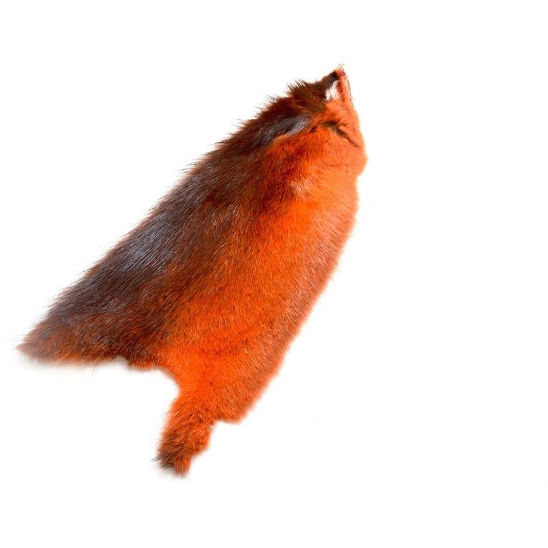 American Ondatra Phatagorva/Dark Dust FutureFly