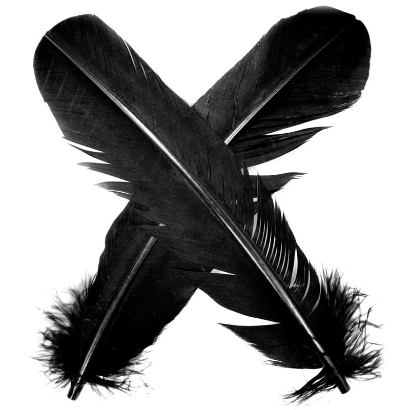 Turkey broad Wing Quill Dyed - Black Supert vingemateriale til laksefluer