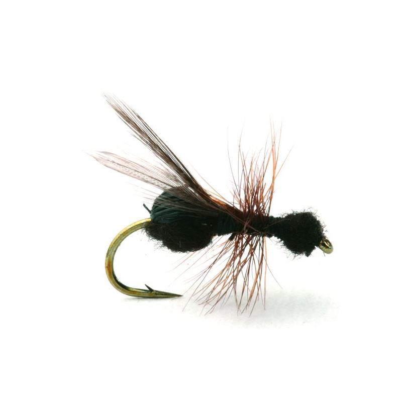 Flying Ant Black #16 Kjøp 12 fluer få gratis flueboks