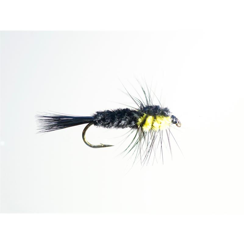 Montana Yellow #12 Dobbelkrok