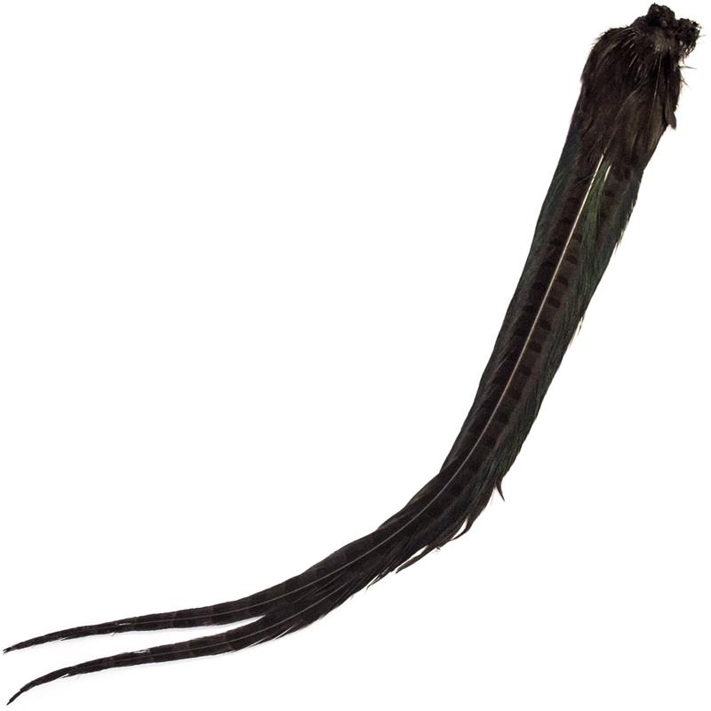Cock Pheasant Complete Tails Dyed Black Fasan halefjær komplett fra Veniard