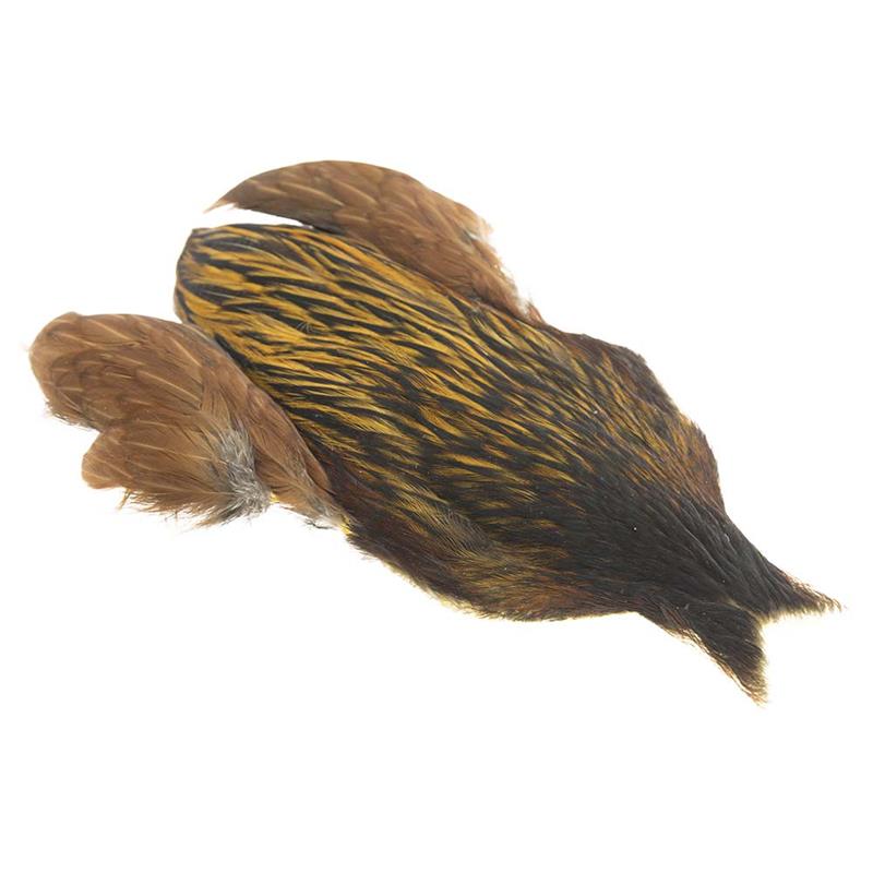 Whiting Hen Cape Greenwell