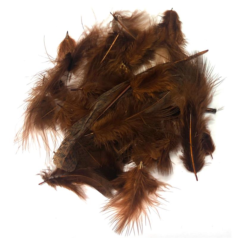 Partridge Feathers Brown A. Jensen