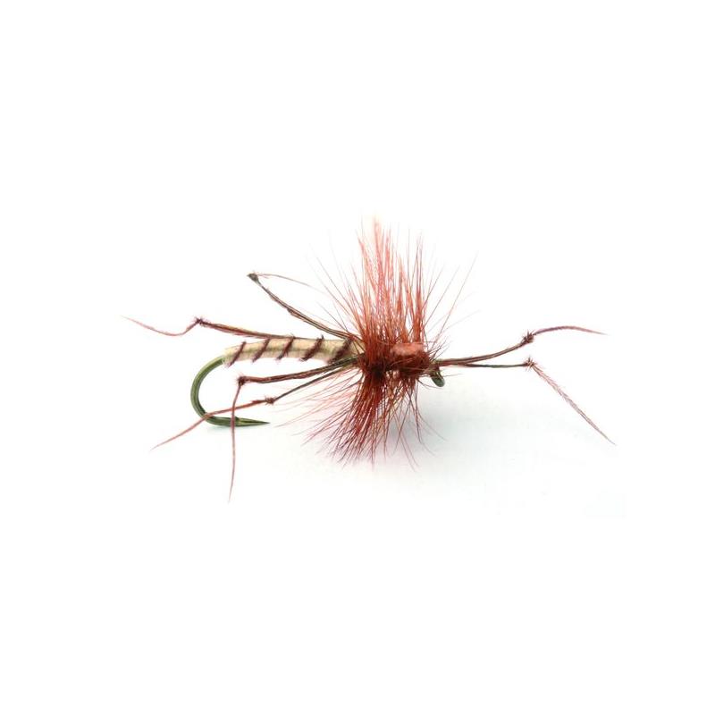 Daddy Long Legs #10 Kjøp 12 fluer få gratis flueboks