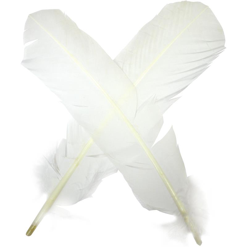 Turkey broad Wing Quill Dyed - B/W Supert vingemateriale til laksefluer