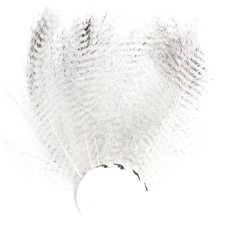 Barred CDC - White Stripete cdc-fjær fra Veniard