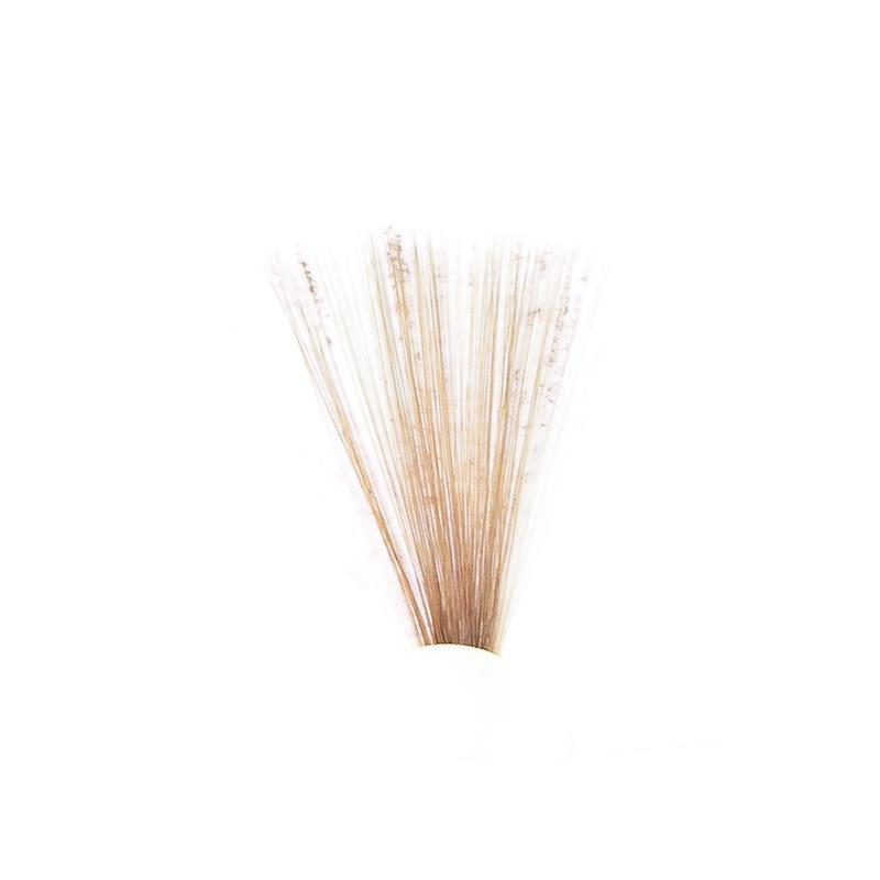 Tail Fibres - Olive Brown Veniard