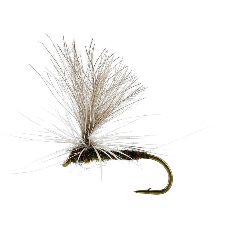Baetis Dun Olive #16 TMC100