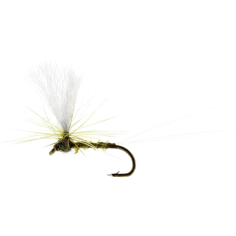 Baetis Dun Biot Olive #16 TMC100