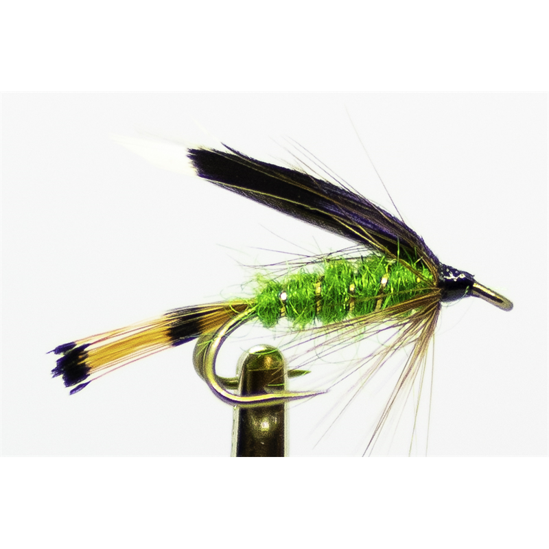 Heckam Peckam Green #8 Dobbelkrok
