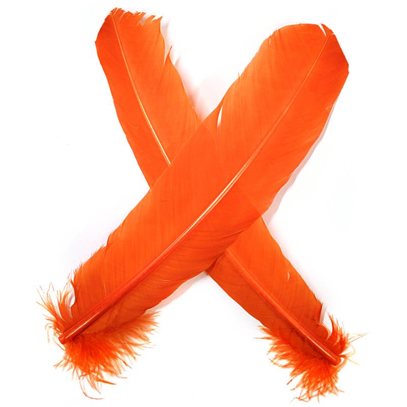 Turkey broad Wing Quill Dyed - Orange Supert vingemateriale til laksefluer
